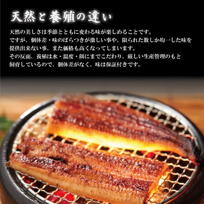 【12回定期便】お楽しみ企画 12ヵ月連続＜四万十食品＞うなぎ蒲焼 ハーフ4袋/BC.26-1058