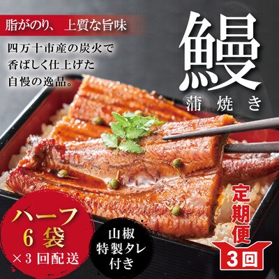 【3回定期便】＜四万十食品＞うなぎ蒲焼　ハーフ6袋/CD.26-630