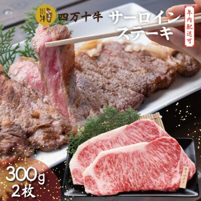 【年内配送】四万十牛 サーロインステーキ(300g×2枚)25-981N