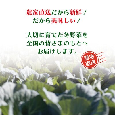 【2回定期便・早期受付・数量限定】アグリユウベの冬野菜セット(小)【配送月:R8年1月・2月】
