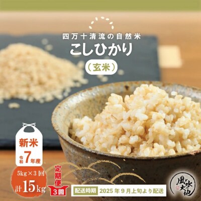 【令和7年産新米・早期受付・3回定期便】四万十清流の自然米(コシヒカリ)玄米5㎏×3回配送