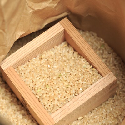 【令和7年産新米・早期受付・3回定期便】四万十清流の自然米(コシヒカリ)玄米5㎏×3回配送