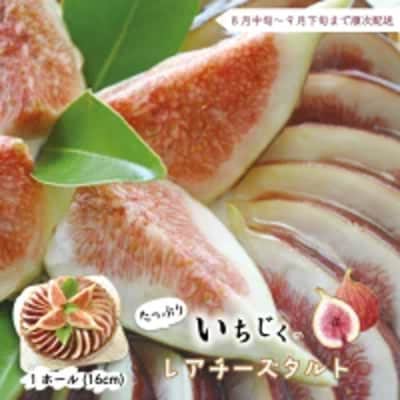 【早期受付・数量限定】いちじくたっぷりのレアチーズタルト【2025年8月中旬～9月下旬配送】