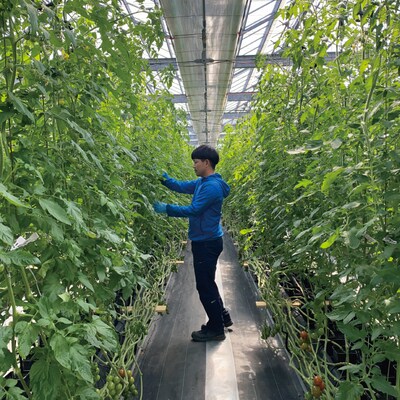 四万十市産 フルティカトマト2kg【1月上旬～6月中旬に発送】R5-375