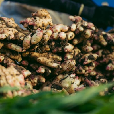 【山﨑生姜農園】生姜農家が作った至高の生姜ジャム 26