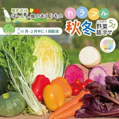 ぱっくん畑の秋・冬野菜セット約5種類【2026年11月～2027年2月の間に1回配送】
