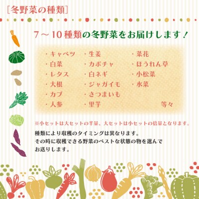 【早期受付・数量限定】農家直送アグリユウベの冬野菜セット(小) R8.11月～R9.2月に1回発送