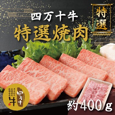 四万十牛特選焼肉(約400g) 26-001