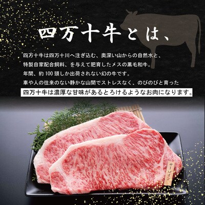 四万十牛特選焼肉(約400g) 26-001
