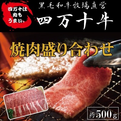 四万十牛　焼肉盛り合わせ(黒毛和牛)約500g 26-978