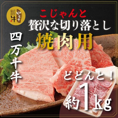 四万十牛 こじゃんと贅沢な切り落とし　焼肉用(黒毛和牛)約1kg 26-979