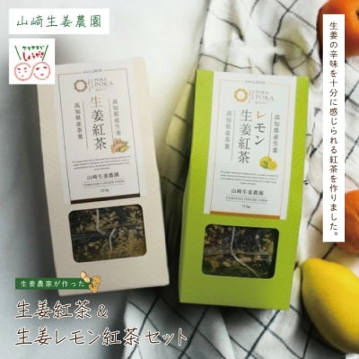 【山﨑生姜農園】生姜農家が作った生姜紅茶&生姜レモン紅茶セット