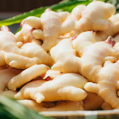 【山﨑生姜農園】スパイス4本セット(生姜塩・紅生姜塩・にんにく紅生姜塩・生姜パウダー) 26