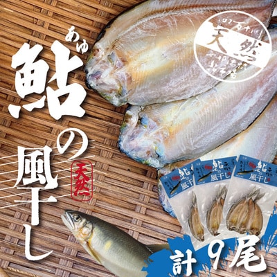 四万十川天然鮎の風干し(干物)3尾入×3パック(合計9尾)26-489