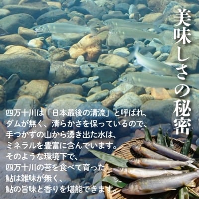 四万十川の恵みをご家庭で!四万十川天然鮎セット(塩焼き4～6匹+天然冷凍鮎5～10匹) 26-840
