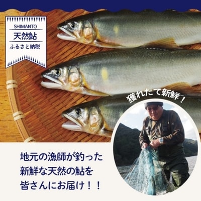 四万十川の恵みをご家庭で!四万十川天然鮎セット(塩焼き4～6匹+天然冷凍鮎5～10匹) 26-840