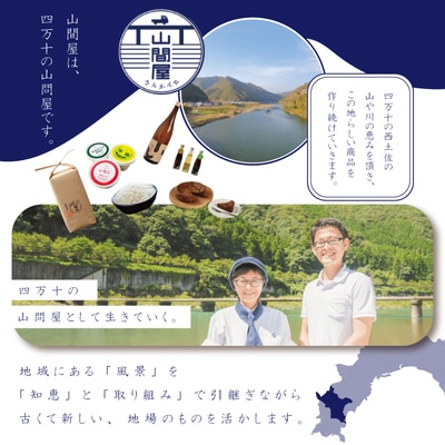 【グルテンフリー】庭先レモンのさわやかベイクドチーズケーキ 26-691