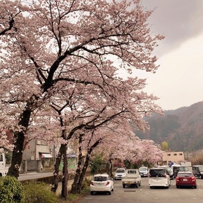 【A.W.L.M】若手木工作家たちが手作りする「上松町で育った桜の木のボールペン」