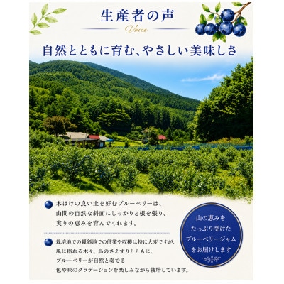 標高1100m 中央アルプス山麓育ち「ごろごろ果実のブルーベリージャム」2本セット