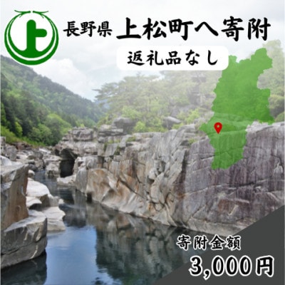【返礼品なし】長野県上松町への寄附　寄付のみ(寄附金額:3,000円)