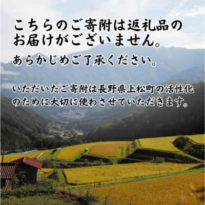 【返礼品なし】長野県上松町への寄附　寄付のみ(寄附金額:5,000円)