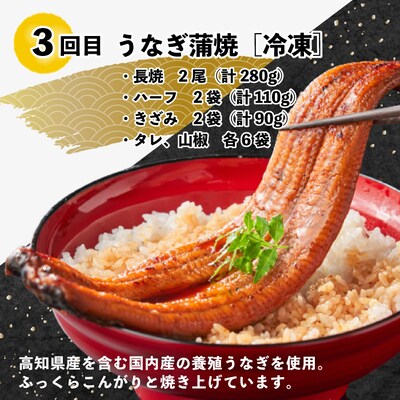 【3回定期便】うなぎ・四万十牛・あゆ!ごちそう定期便10万円コース【第2弾】