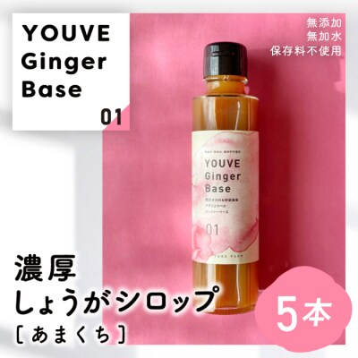 生姜好きさんにオススメ!濃厚・しょうがシロップ5本セット【あまくち】25-963