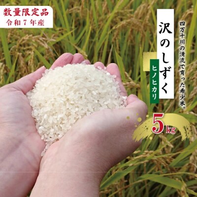 【令和7年産】沢のしずく(ヒノヒカリ)5kg