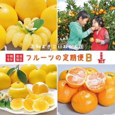 【早期受付・数量限定・3回定期便】高知よさこいみかん園のフルーツ定期便B 配送:R6年3,6,11月