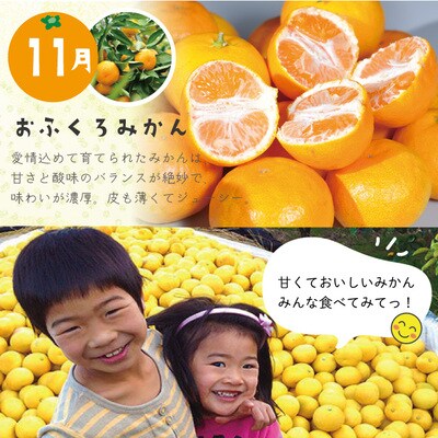 【早期受付・数量限定・3回定期便】高知よさこいみかん園のフルーツ定期便B 配送:R6年3,6,11月