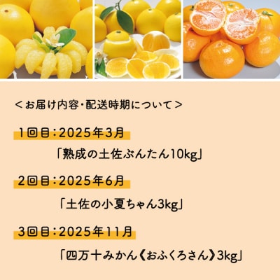 【早期受付・数量限定・3回定期便】高知よさこいみかん園のフルーツ定期便B 配送:R6年3,6,11月