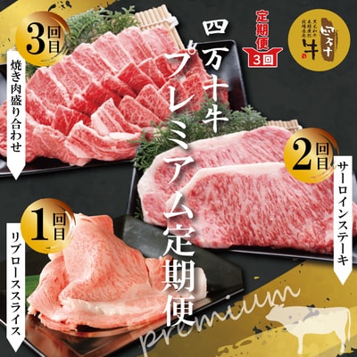 【3回定期便】四万十牛　四万十産黒毛和牛を堪能　プレミアム定期便 26