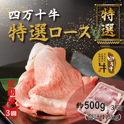【3回定期便】メス牛 四万十牛特選ローススライス(すき焼き・しゃぶしゃぶ用)約500g×3回 26