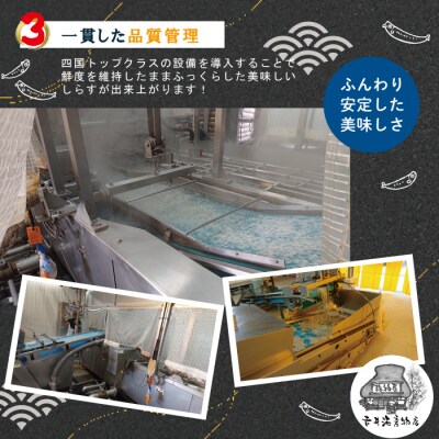 【3回定期便】老舗海産物店 土佐黒潮ふんわりしらす650g【2カ月に1回お届け合計1.95kg】26