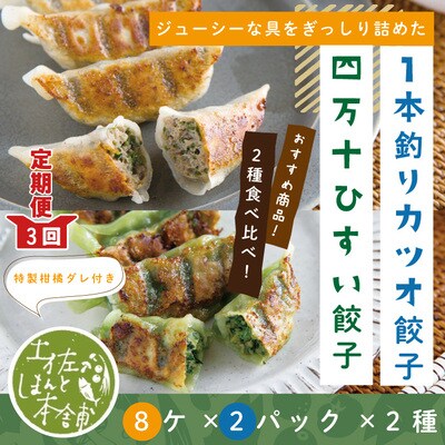 【3回定期便】四万十ひすい餃子・一本釣りかつお餃子(8ヶ×2パック×2種)たれ付にんにく不使用26