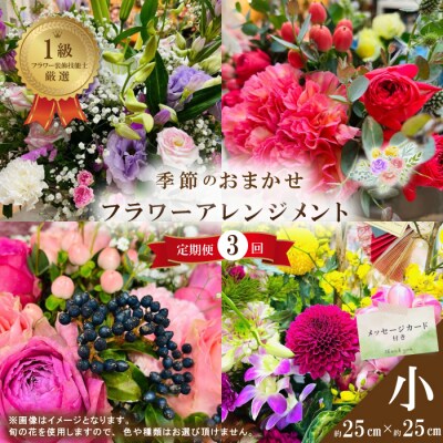 【3回定期便】＜1級フラワー装飾技能士厳選＞季節のおまかせフラワーアレンジメント【生花】(小)26