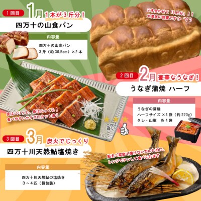 【年末限定 8回定期便】四万十人気グルメお楽しみ しまんとふるさと定期便10万Bコース R7-815