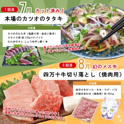 【年末限定 8回定期便】四万十人気グルメお楽しみ しまんとふるさと定期便10万Bコース R7-815