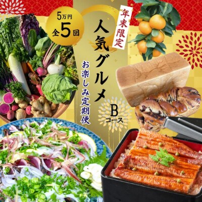 【年末限定・5回定期便】四万十の人気グルメお楽しみ しまんとふるさと定期便5万円Bコース24-615