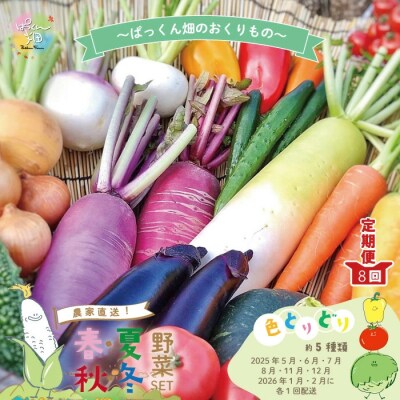 【早期受付 8回定期】新鮮!旬な野菜セット 約5種類【R8.5月~8月,11月~R9.2月に月1回】
