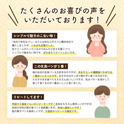 【お試し容量】大人気!リピーター続々・パンのピノキオ特製　ふんわり生食パン1本