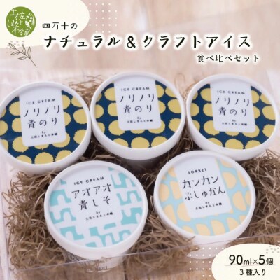 家に来る“高知”四万十のナチュラル&クラフトアイス食べ比べセット90ml×5カップ(3種)26