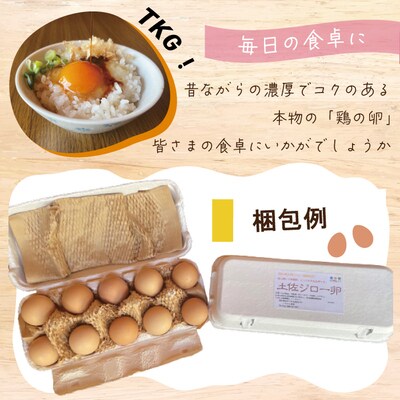 濃厚でコクのある味わい!のびのび育った土佐ジローの自然卵20個(10個入り×2P) 26-1010