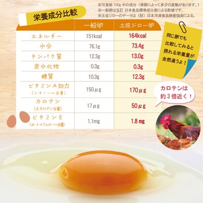 のびのび育った土佐ジローの自然卵40個(10個入り×4パック) 26-1011