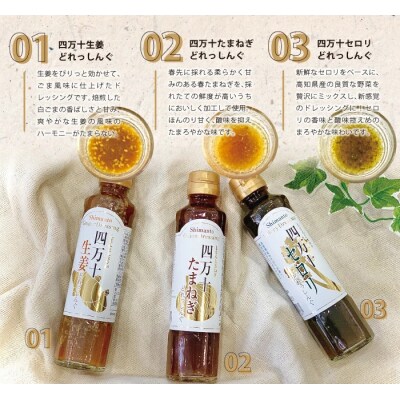 四万十どれっしんぐ5本セット 26-100