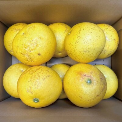 【訳あり・数量限定】熟成の土佐文旦5kg【家庭用】【2026年3月上旬～無くなり次第終了】