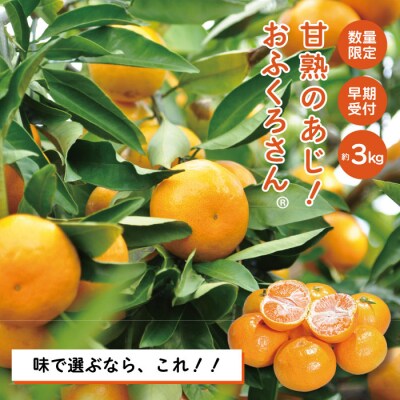 【早期受付・数量限定】農家直送!四万十みかん《おふくろさん》3kg【家庭用2025年11月中旬より】