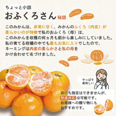 【早期受付・数量限定】農家直送!四万十みかん《おふくろさん》3kg【家庭用2025年11月中旬より】