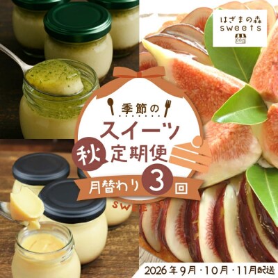早期受付 はざまの森 季節のスイーツ3回定期便(秋)【配送時期:2026年9月10月11月】