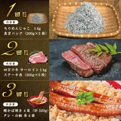 【12回定期便】四万十の贅沢を詰め込んだ プレミアム定期便 2025-590